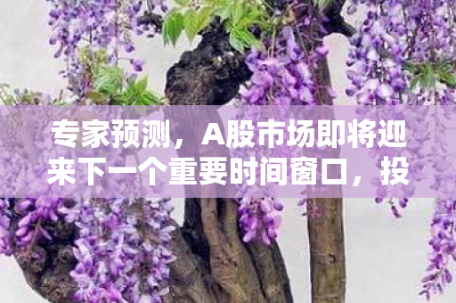 专家预测，A股市场即将迎来下一个重要时间窗口，投资者应如何布局？
