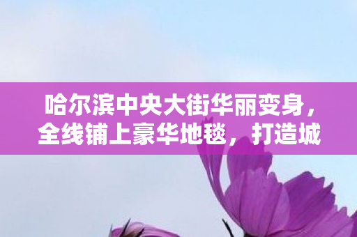哈尔滨中央大街华丽变身，全线铺上豪华地毯，打造城市新名片
