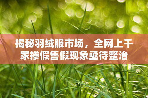 揭秘羽绒服市场，全网上千家掺假售假现象亟待整治