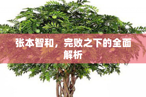 张本智和，完败之下的全面解析