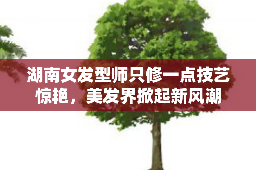 湖南女发型师只修一点技艺惊艳，美发界掀起新风潮