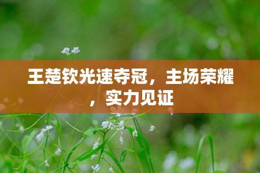 王楚钦光速夺冠，主场荣耀，实力见证