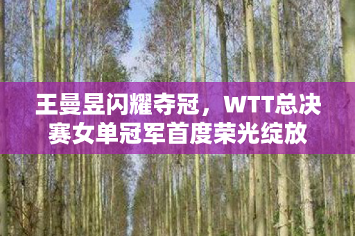 王曼昱闪耀夺冠，WTT总决赛女单冠军首度荣光绽放