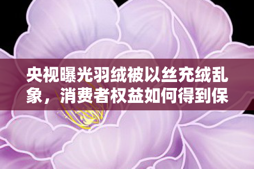 央视曝光羽绒被以丝充绒乱象，消费者权益如何得到保障？