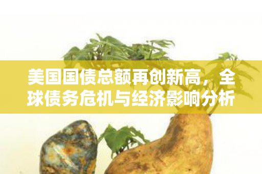 美国国债总额再创新高，全球债务危机与经济影响分析