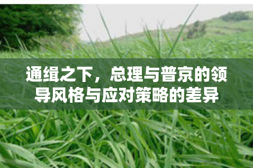 通缉之下，总理与普京的领导风格与应对策略的差异