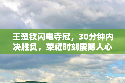 王楚钦闪电夺冠，30分钟内决胜负，荣耀时刻震撼人心