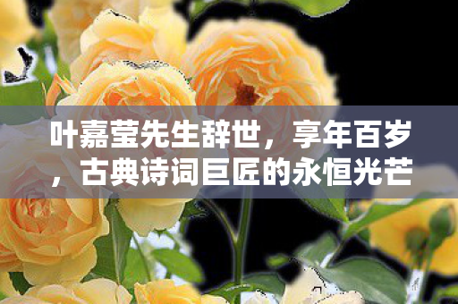 叶嘉莹先生辞世，享年百岁，古典诗词巨匠的永恒光芒
