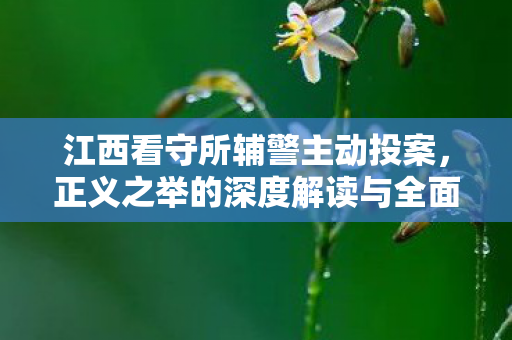 江西看守所辅警主动投案，正义之举的深度解读与全面分析