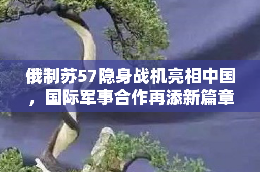 俄制苏57隐身战机亮相中国，国际军事合作再添新篇章