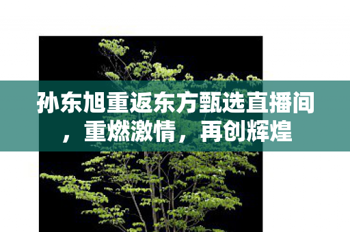 孙东旭重返东方甄选直播间，重燃激情，再创辉煌