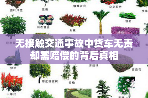 无接触交通事故中货车无责却需赔偿的背后真相