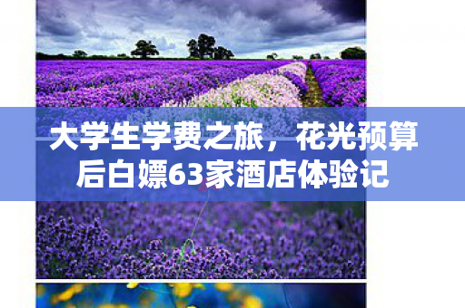 大学生学费之旅，花光预算后白嫖63家酒店体验记