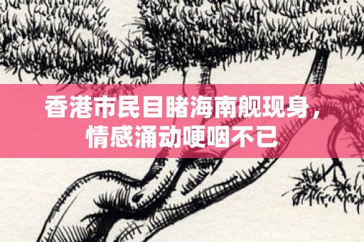 香港市民目睹海南舰现身，情感涌动哽咽不已