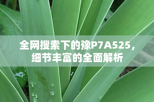 全网搜索下的豫P7A525，细节丰富的全面解析