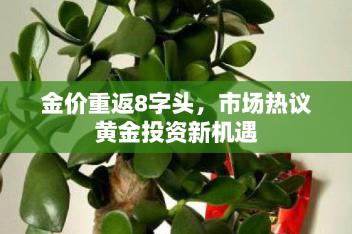 金价重返8字头，市场热议黄金投资新机遇