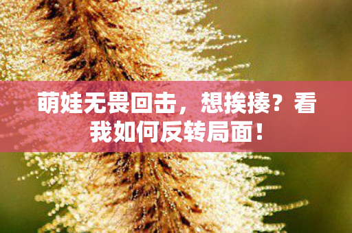 萌娃无畏回击，想挨揍？看我如何反转局面！