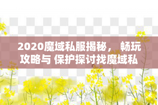 2020魔域私服揭秘， 畅玩攻略与 保护探讨找魔域私服发布网