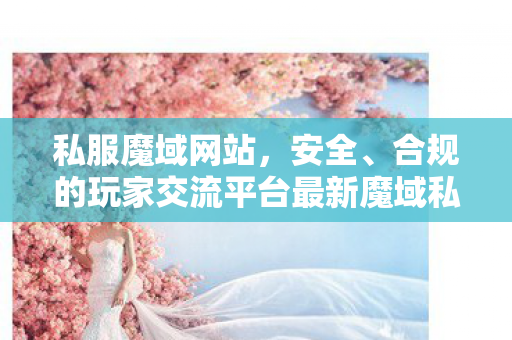 私服魔域网站，安全、合规的玩家交流平台最新魔域私服发布网站