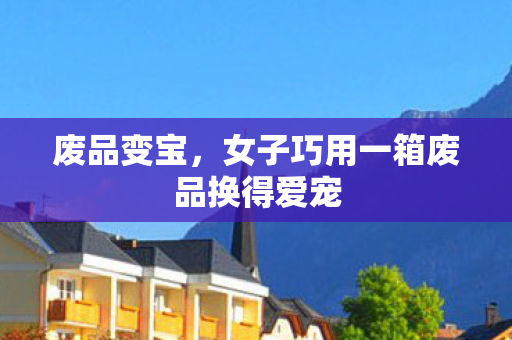 废品变宝，女子巧用一箱废品换得爱宠