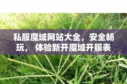 私服魔域网站大全，安全畅玩， 体验新开魔域开服表
