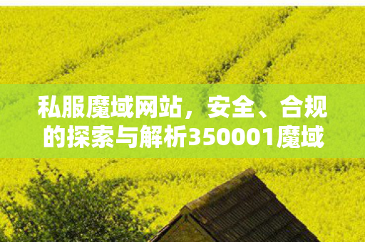 私服魔域网站，安全、合规的探索与解析350001魔域私服发布网站