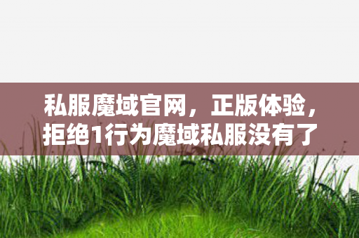 私服魔域官网，正版体验，拒绝1行为魔域私服没有了吗