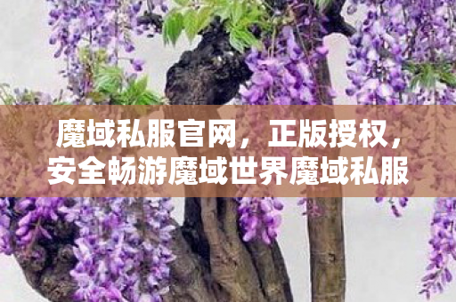 魔域私服官网，正版授权，安全畅游魔域世界魔域私服
