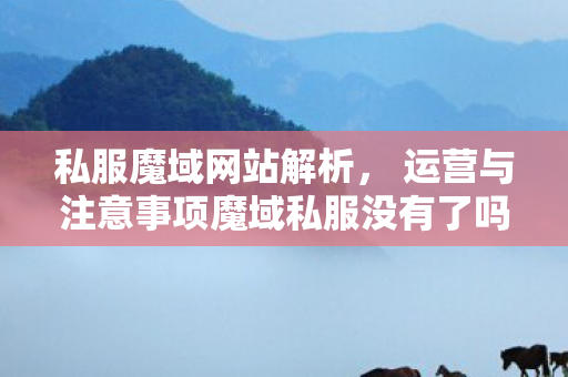私服魔域网站解析， 运营与注意事项魔域私服没有了吗