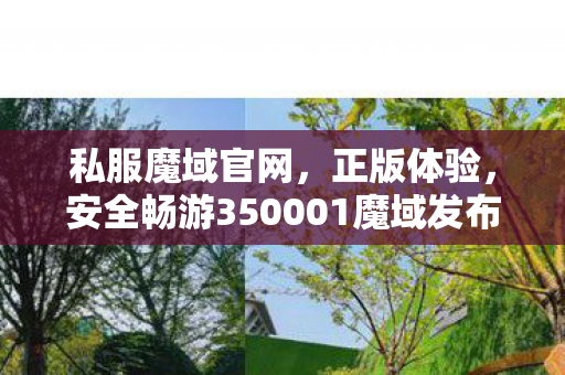 私服魔域官网，正版体验，安全畅游350001魔域发布网新开服