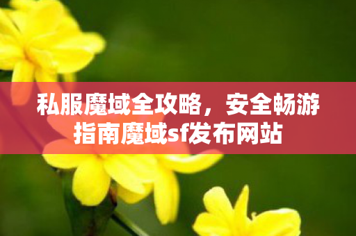 私服魔域全攻略，安全畅游指南魔域sf发布网站