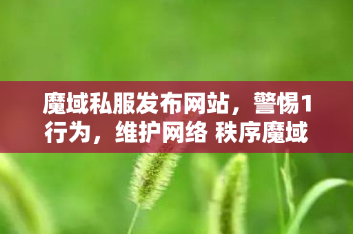 魔域私服发布网站，警惕1行为，维护网络 秩序魔域私服发布网站