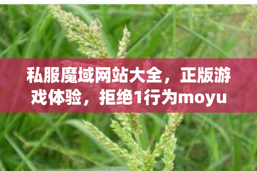 私服魔域网站大全，正版游戏体验，拒绝1行为moyusifu