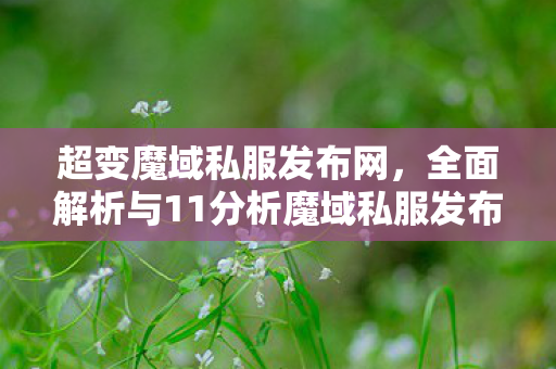 超变魔域私服发布网，全面解析与11分析魔域私服发布