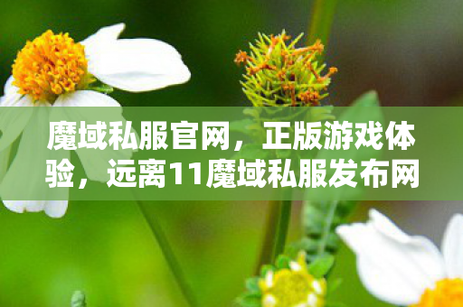 魔域私服官网，正版游戏体验，远离11魔域私服发布网站