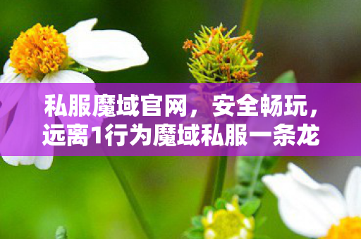 私服魔域官网，安全畅玩，远离1行为魔域私服一条龙