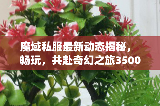 魔域私服最新动态揭秘， 畅玩，共赴奇幻之旅350001my魔域发布网新开服