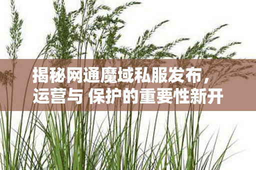 揭秘网通魔域私服发布， 运营与 保护的重要性新开魔域sf发布网