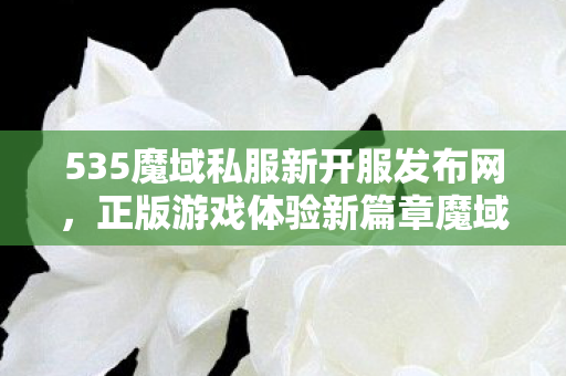 535魔域私服新开服发布网，正版游戏体验新篇章魔域私服发布网刚刚开一秒