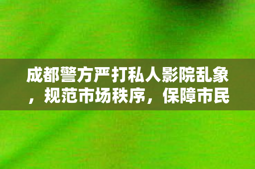 成都警方严打私人影院乱象，规范市场秩序，保障市民权益