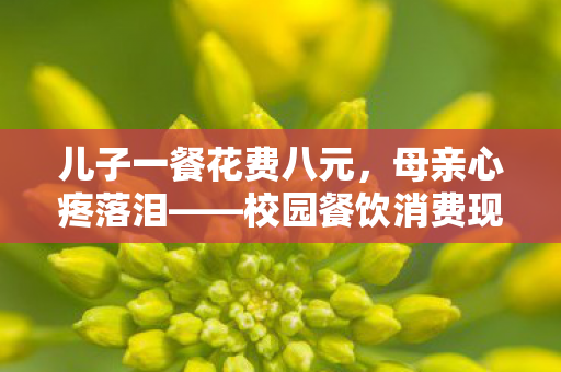 儿子一餐花费八元，母亲心疼落泪——校园餐饮消费现象的深度解析