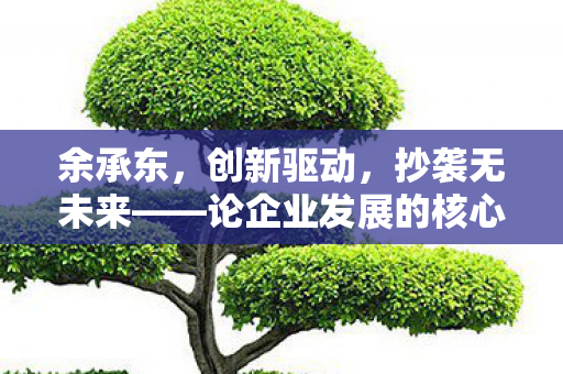余承东，创新驱动，抄袭无未来——论企业发展的核心动力与长远战略