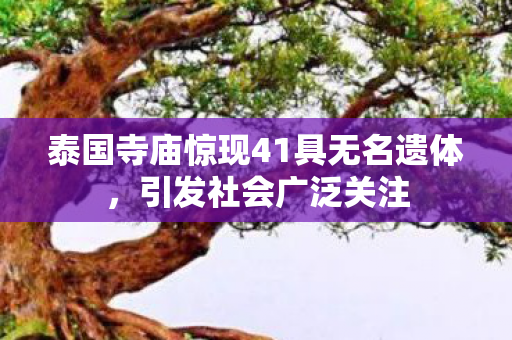 泰国寺庙惊现41具无名遗体，引发社会广泛关注