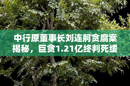 中行原董事长刘连舸贪腐案揭秘，巨贪1.21亿终判死缓