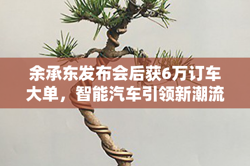 余承东发布会后获6万订车大单，智能汽车引领新潮流