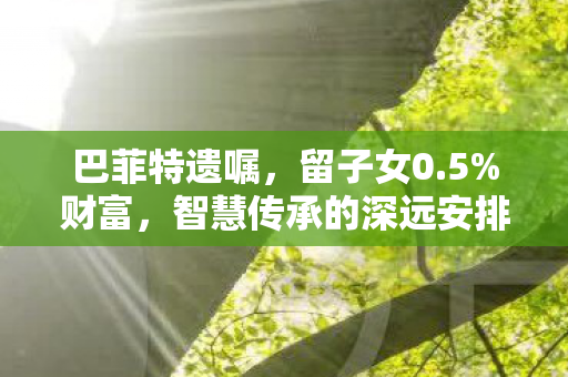 巴菲特遗嘱，留子女0.5%财富，智慧传承的深远安排