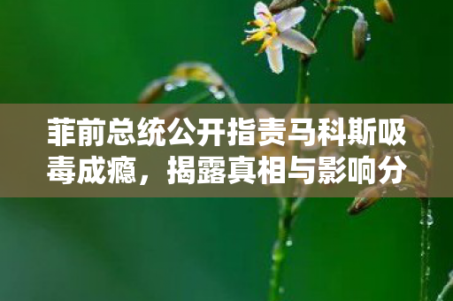 菲前总统公开指责马科斯吸毒成瘾，揭露真相与影响分析