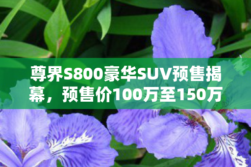 尊界S800豪华SUV预售揭幕，预售价100万至150万元，尽显尊贵品质