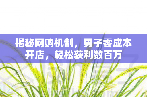 揭秘网购机制，男子零成本开店，轻松获利数百万