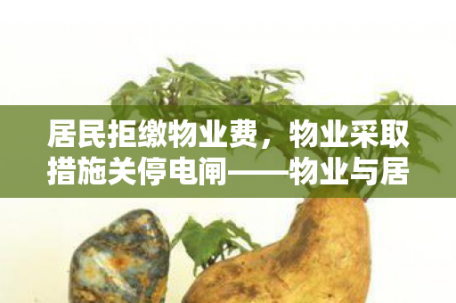 居民拒缴物业费，物业采取措施关停电闸——物业与居民权益的深度探讨